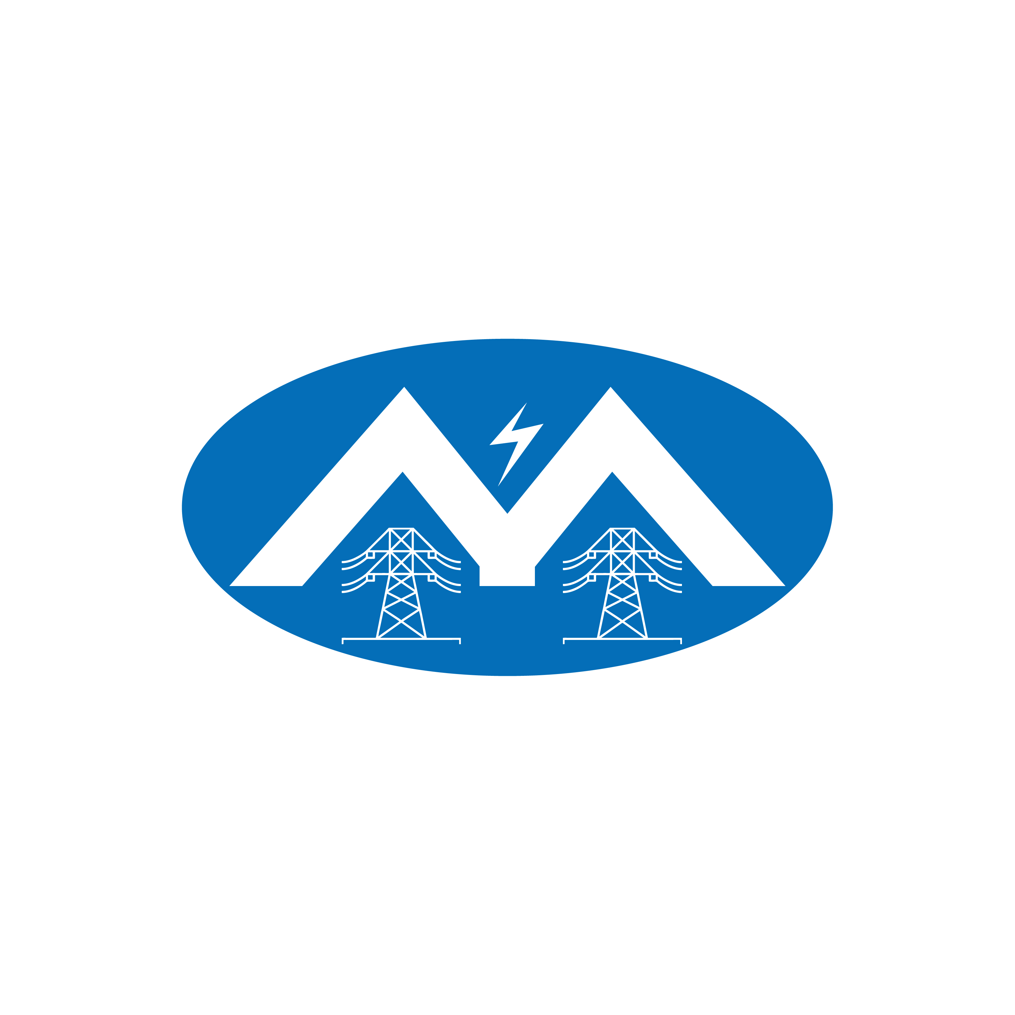 Wuhan Mingyang Technology Co., Ltd